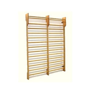 Wall Double Stall Bar Wall Double Stall Bar