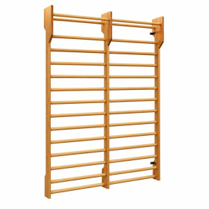 Wall Double Stall Bar Wall Double Stall Bar