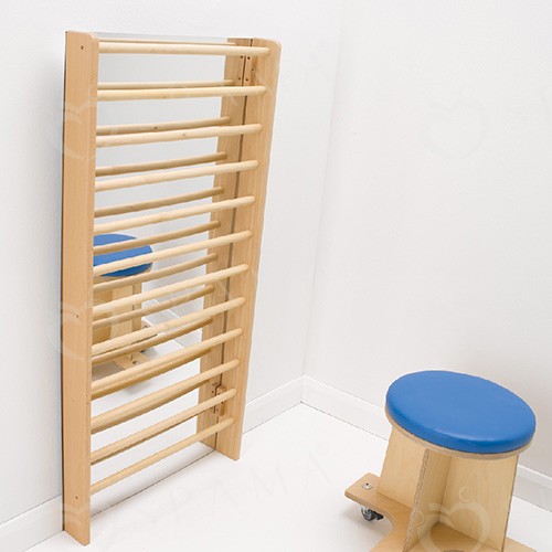 Wall Stall Bar W/Mirror