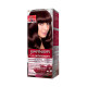 Garnier Intensity Color Hair Dye 3.5 Dark Brown Garnier Intensity Color Hair Dye 3.5 Dark Brown
