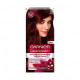 Garnier Intensity Color Hair Dye 4.6 Intense Dark Red Garnier Intensity Color Hair Dye 4.6 Intense Dark Red